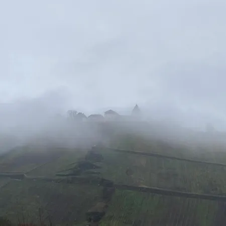 Burgblick