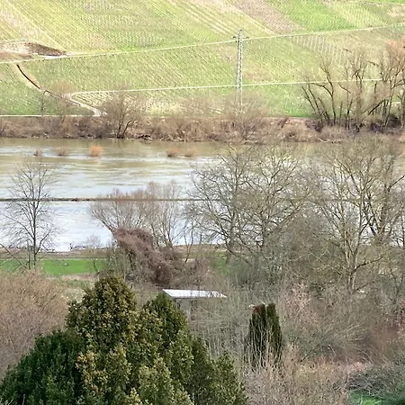 Burgblick Apartment *