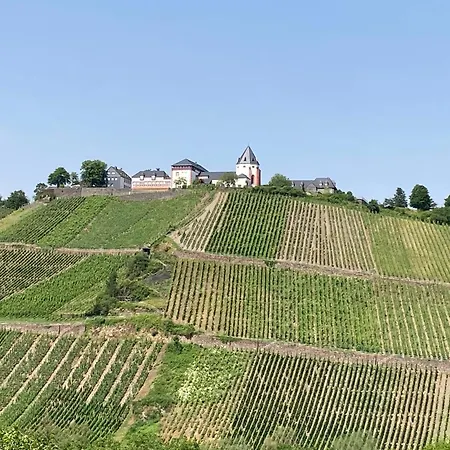 Apartment Burgblick Pünderich