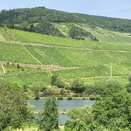 Burgblick Appartement *