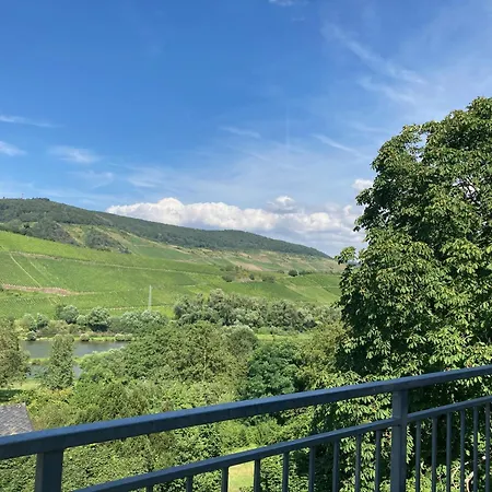 Burgblick Apartment Punderich