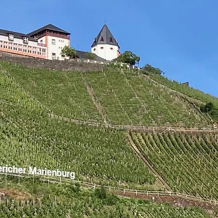 Burgblick Apartment Punderich