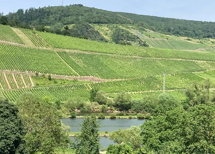 Burgblick Appartement *